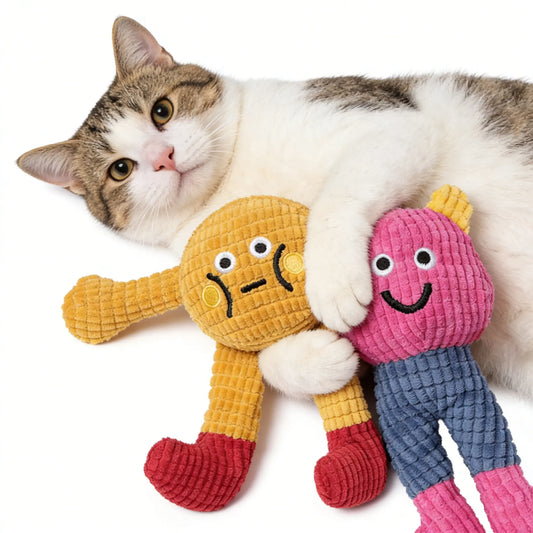 Interactive Plush Catnip Crinkle Toys - 2 Pack, Soft and Durable for Indoor Kittens, Engaging Chew and Kick Experience to Stimulate Playfulness