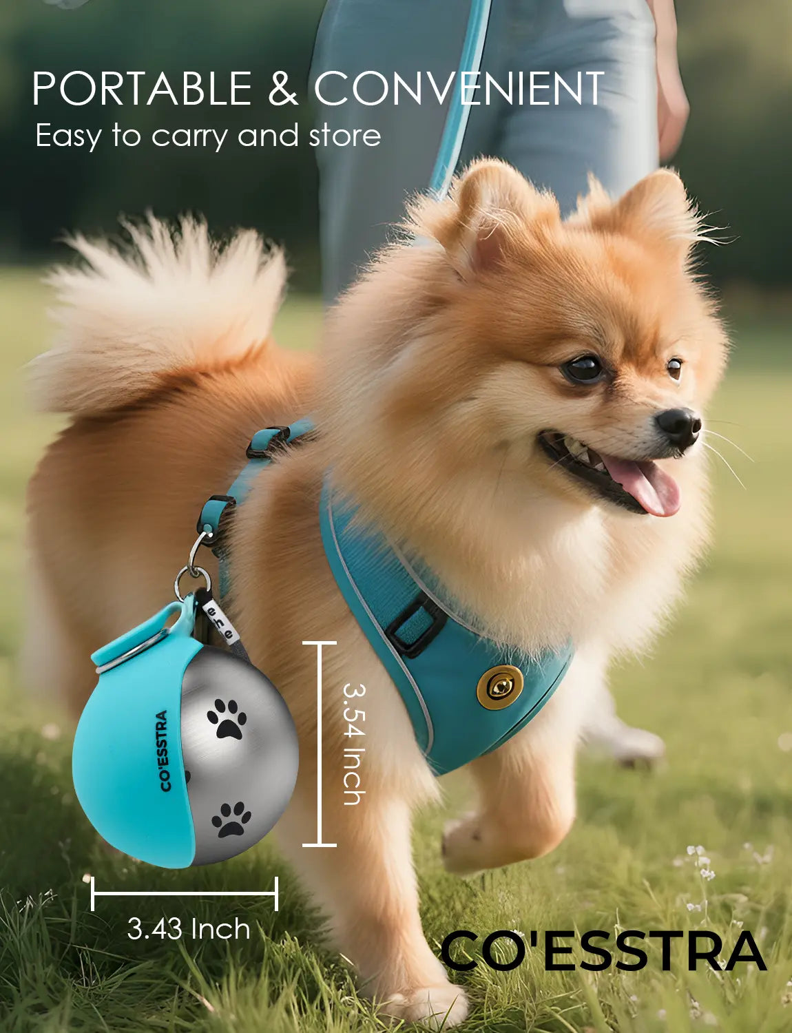 Stainless Steel Pet Water Bottle with Integrated Drinking Basin – 285ml Leak-Proof Travel Solution for Dogs and Cats, Ideal for Walks, Road Trips, and Outdoor Activities