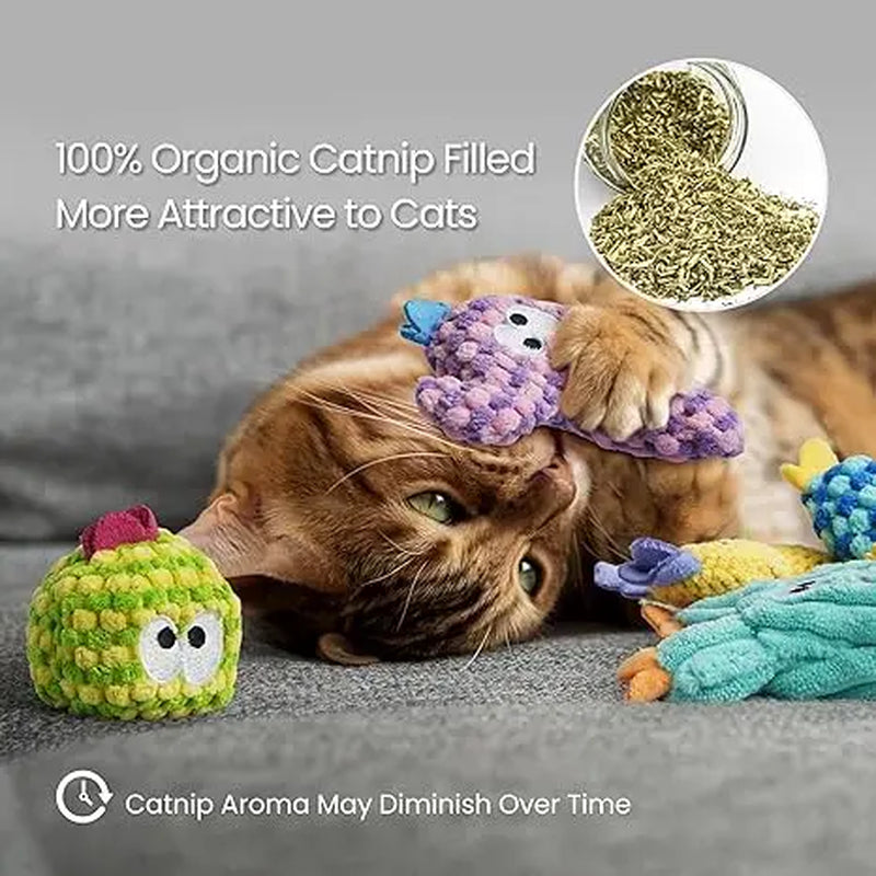Pawsible 5 Pack Colorful Cactus Cat Toy Set, 100% Premium Cat Herb Filling, Natural Stimulation for Cats, Soft Teething Toys, Perfect Kitten Toys