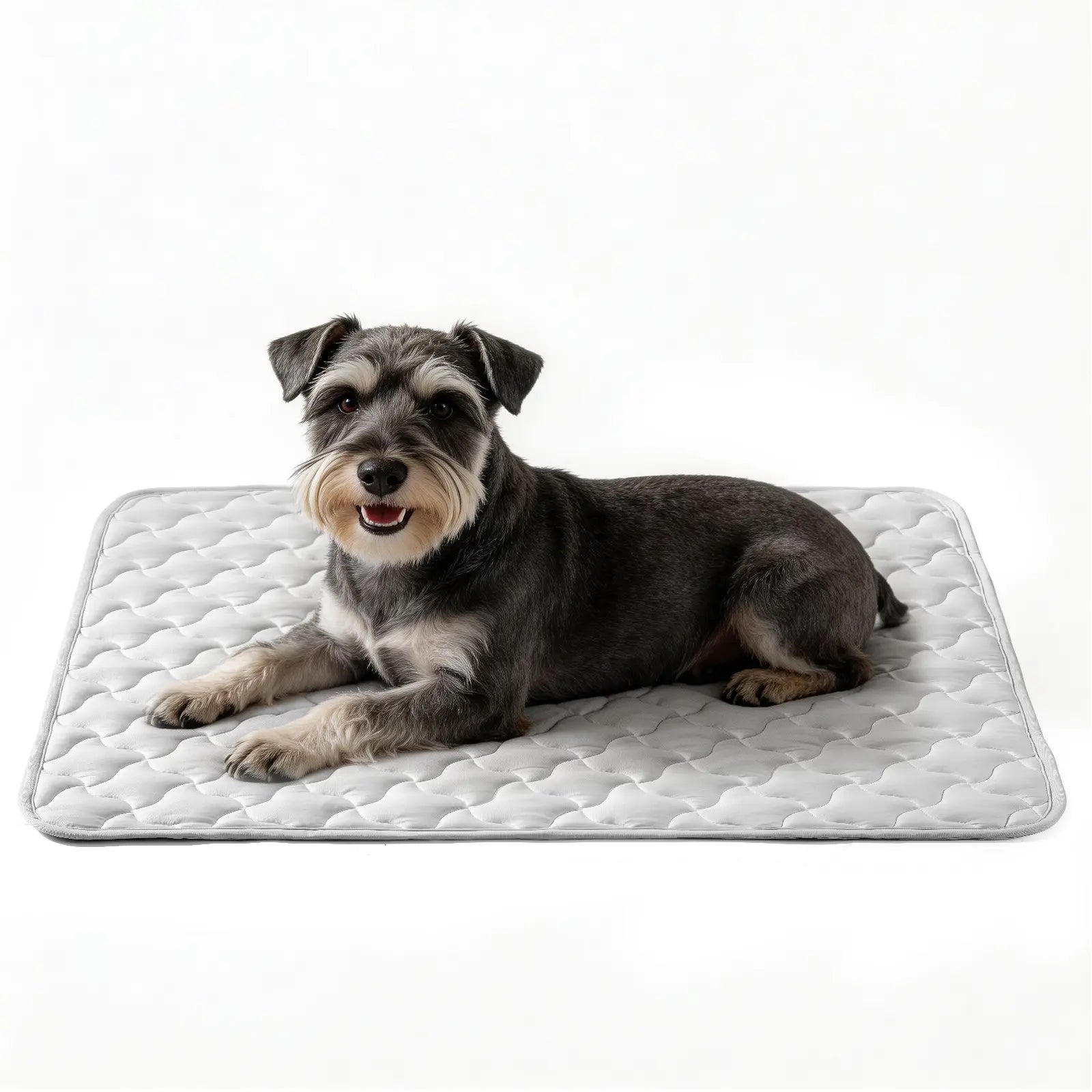 MIXJOY Cooling Mat for All Size Dog Q-Max>0.5 Instant Temp Drop Dog Cooling Mats Cooling Pad for Dog- Indoor Outdoor Travel Use Snag Resistant Machine Washable& Anti-Slip Blue #Summervibes