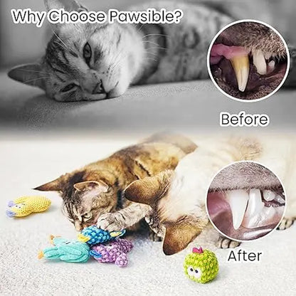 Pawsible 5 Pack Colorful Cactus Cat Toy Set, 100% Premium Cat Herb Filling, Natural Stimulation for Cats, Soft Teething Toys, Perfect Kitten Toys