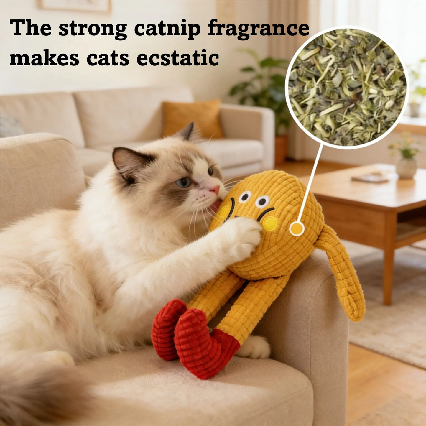 Interactive Plush Catnip Crinkle Toys - 2 Pack, Soft and Durable for Indoor Kittens, Engaging Chew and Kick Experience to Stimulate Playfulness