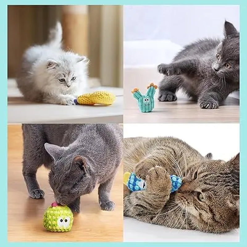 Pawsible 5 Pack Colorful Cactus Cat Toy Set, 100% Premium Cat Herb Filling, Natural Stimulation for Cats, Soft Teething Toys, Perfect Kitten Toys