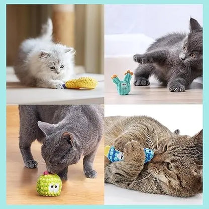 Pawsible 5 Pack Colorful Cactus Cat Toy Set, 100% Premium Cat Herb Filling, Natural Stimulation for Cats, Soft Teething Toys, Perfect Kitten Toys